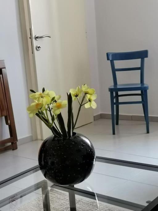 House Marineta - Makarska Promenade Daire Dış mekan fotoğraf